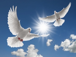 Zühurun intizarında olan şəxsin məqamı